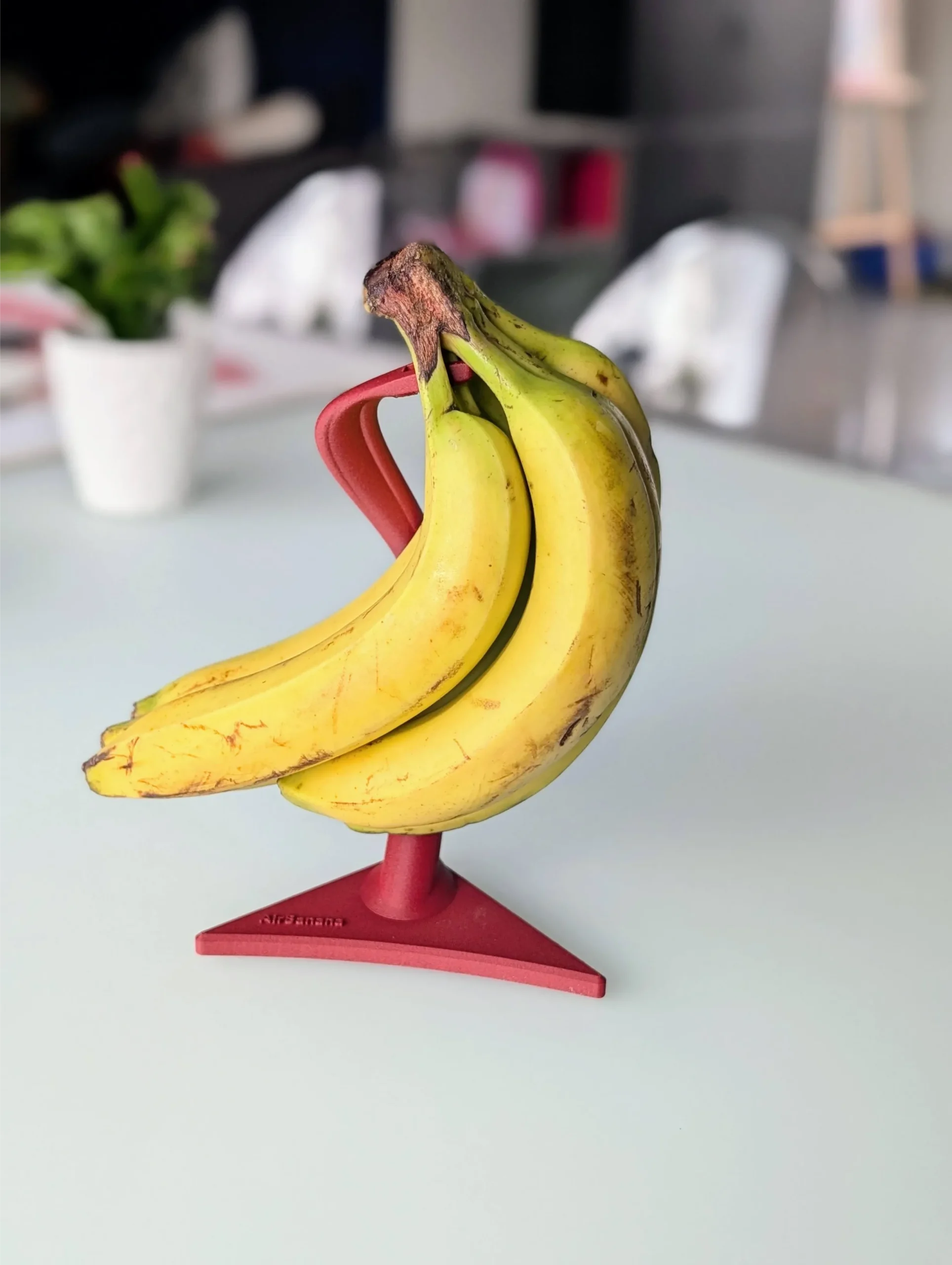Support banane stable avec un seul fruit, technologie zéro contact